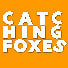 Catching Foxes